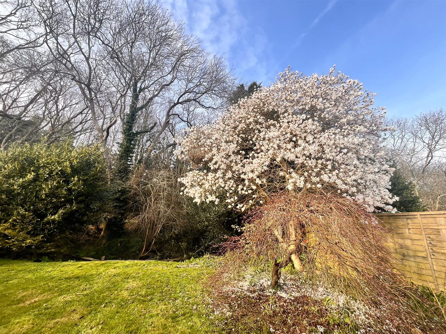 Knowle Road, Fairlight